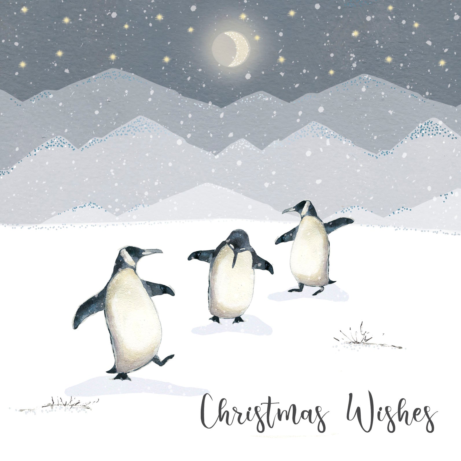 Pack of 8 Festive Dancing Penguins Marie Curie Charity Christmas