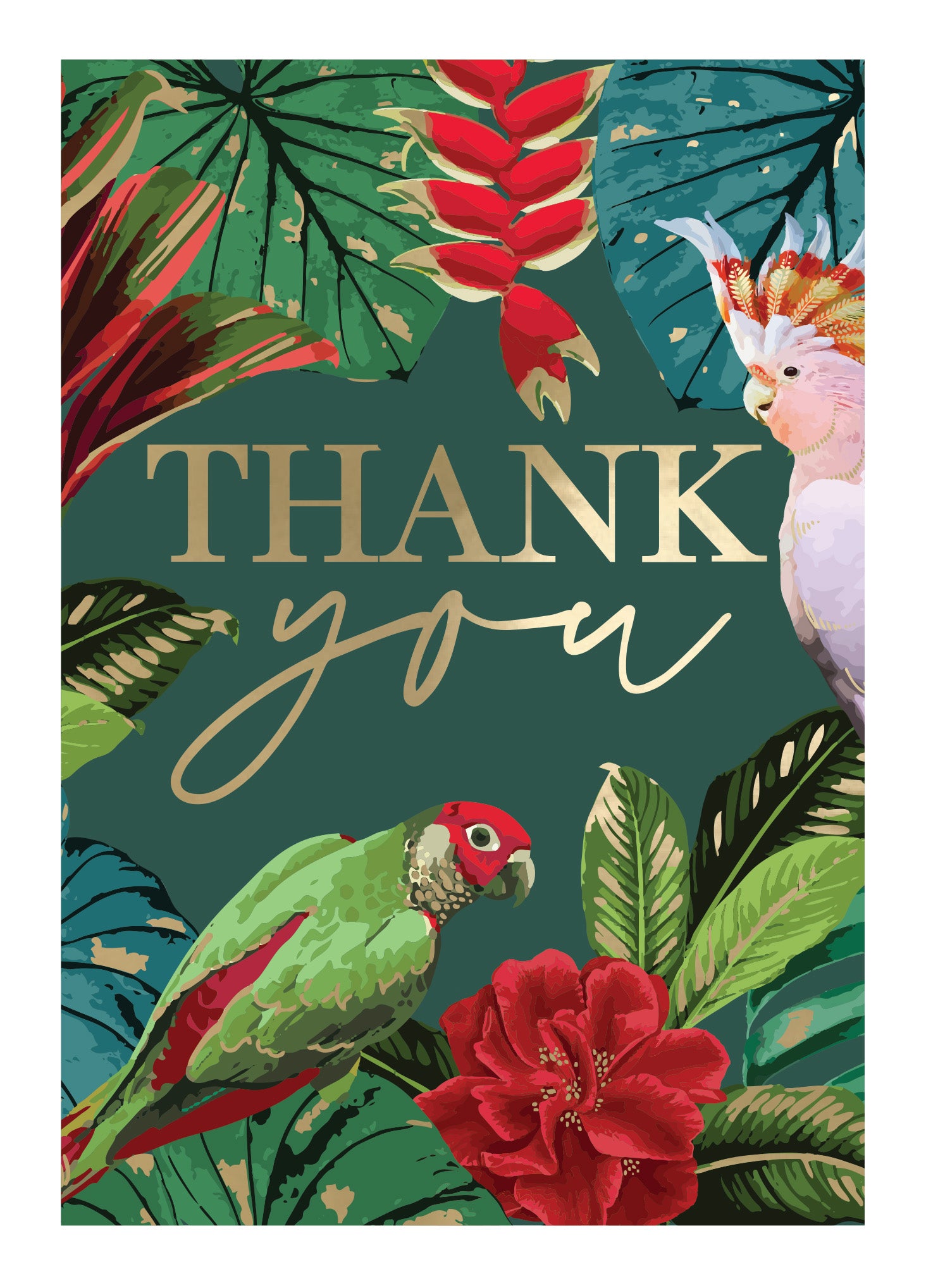 Embossed Tropical Parrots Thank You Card – Love Kate's