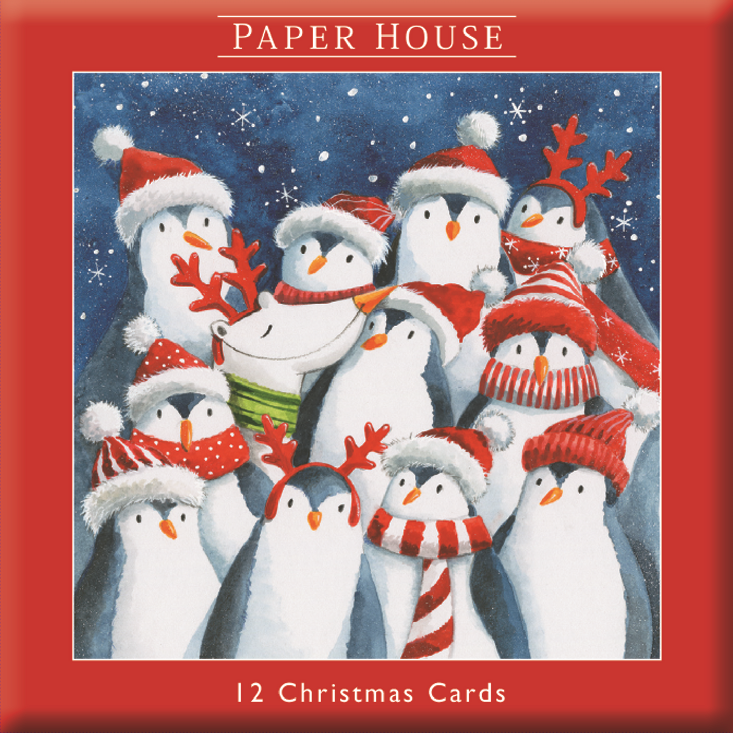 Box of 12 Paper House Festive Penguins Christmas Cards