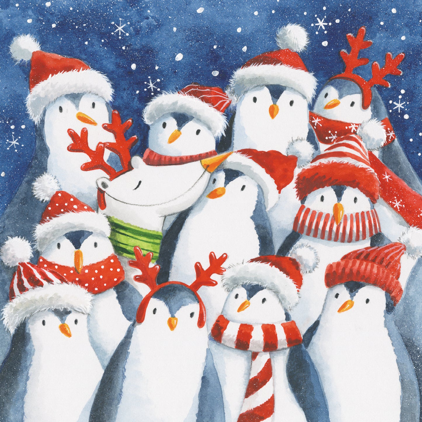 Box of 12 Paper House Festive Penguins Christmas Cards