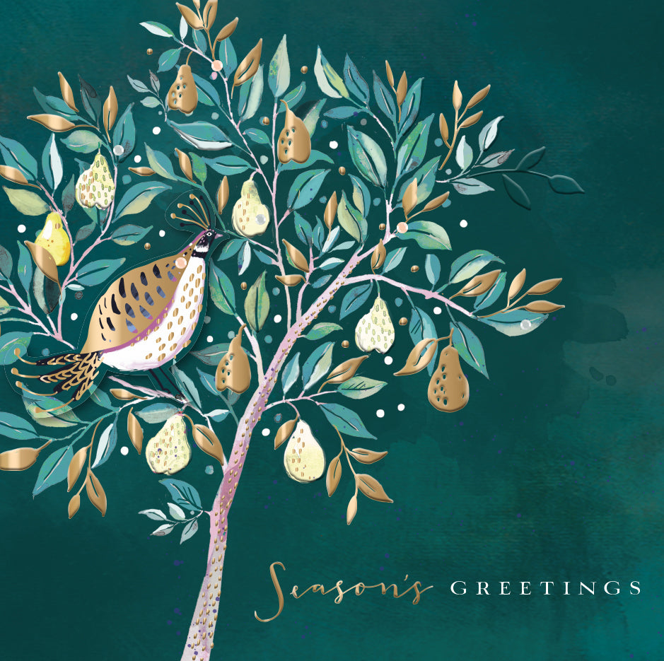 Box of 5 Luxury Partridge Pear Tree Embellished Christmas Cards