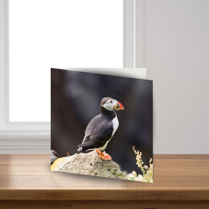 Unmistakable Puffin Sound Greeting Card