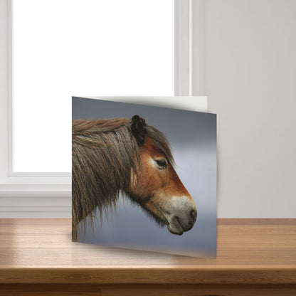 Exmoor Pony Sound Greeting Card