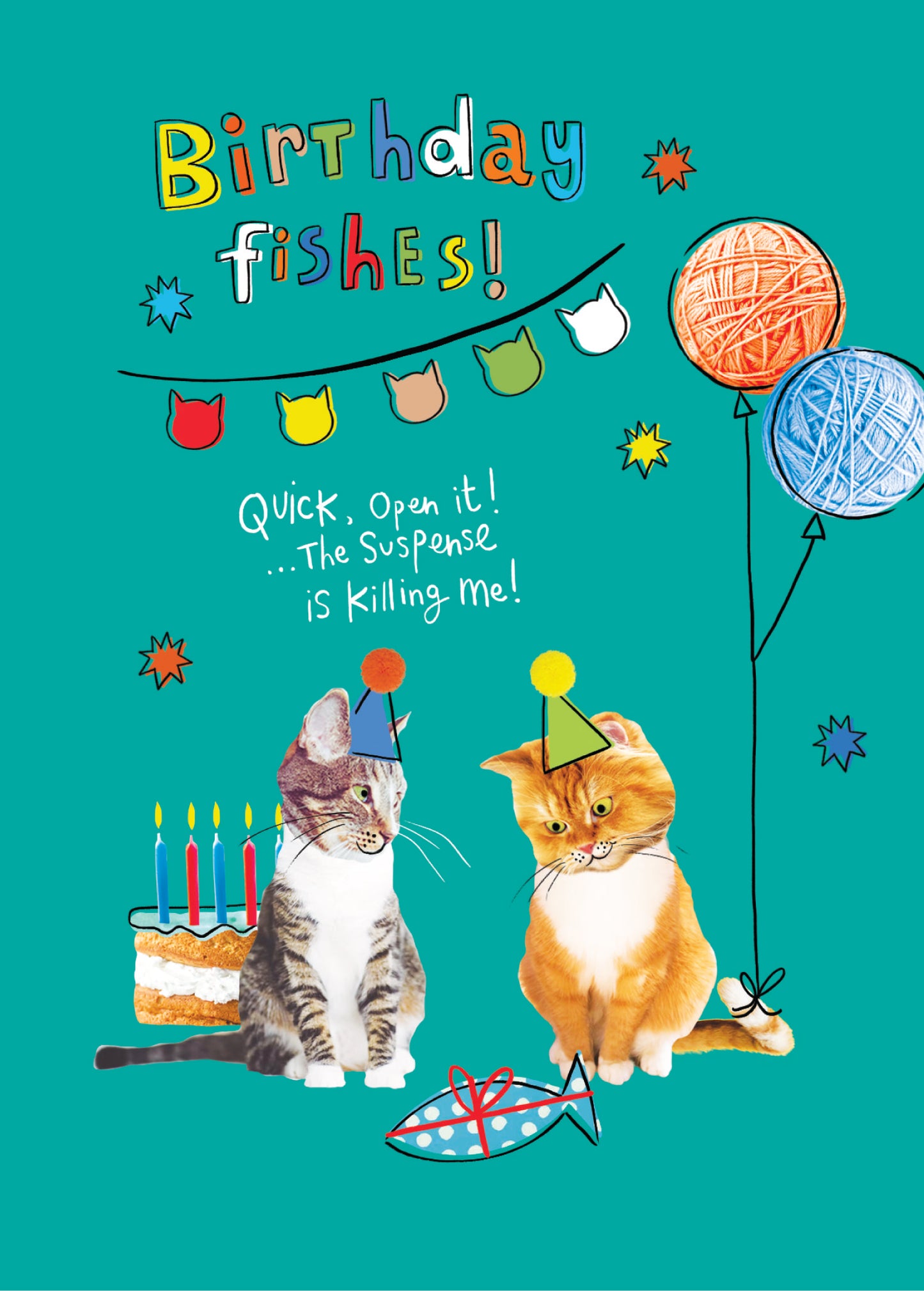 Scribbler Birthday Fishes Purrfect Surprise! Funny Birthday Card