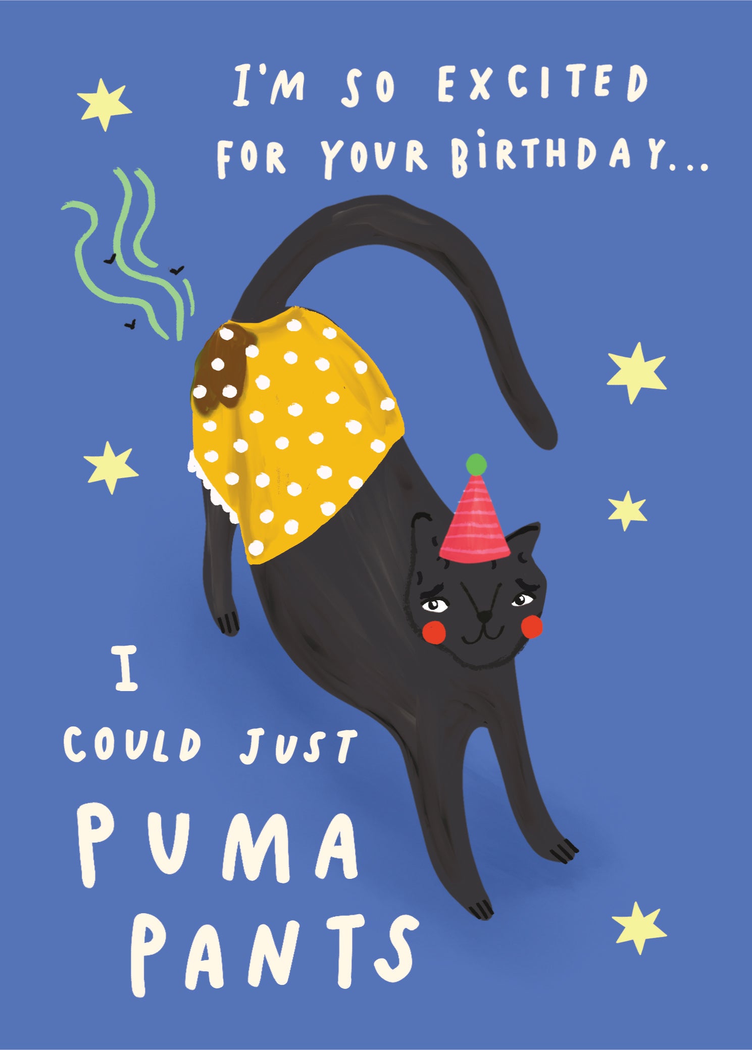 Scribbler I m So Excited I Could Puma Pants Funny Birthday Card Love Kate s