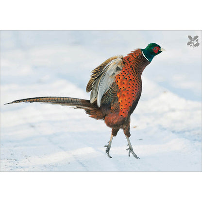 Box of 20 National Trust Birds & Wildlife Charity Christmas Cards