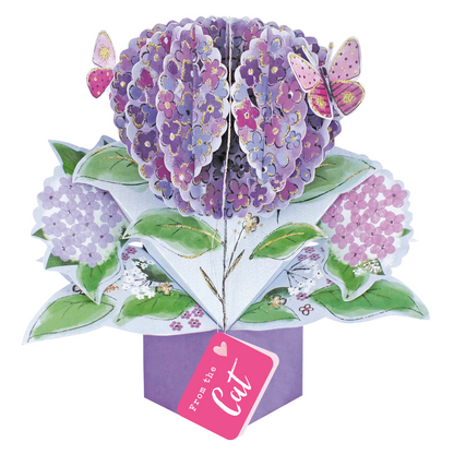 Pop Up Flowers Greeting Card Choice Of Cards