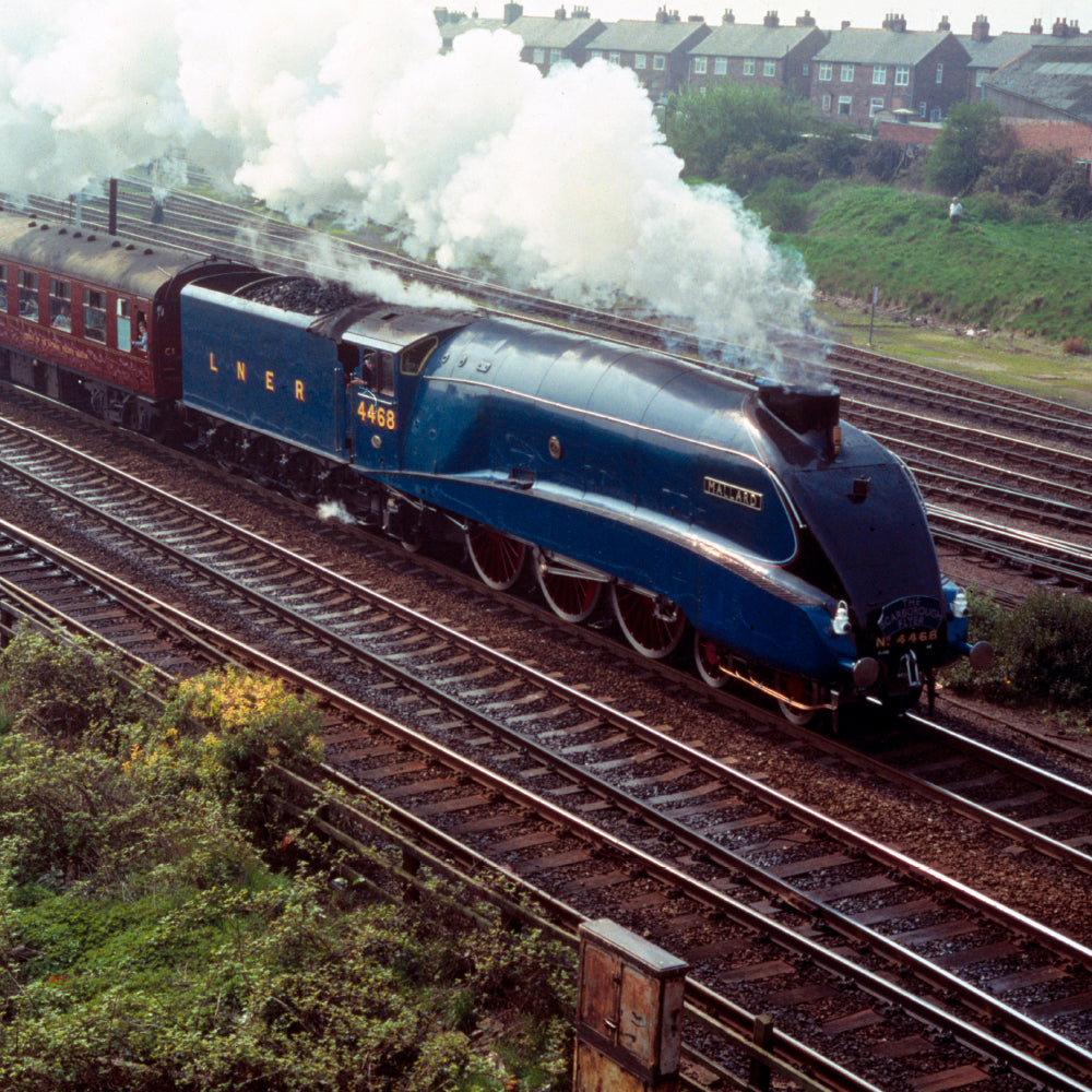 Locomotion Mallard Steam Train Sound Greeting Card