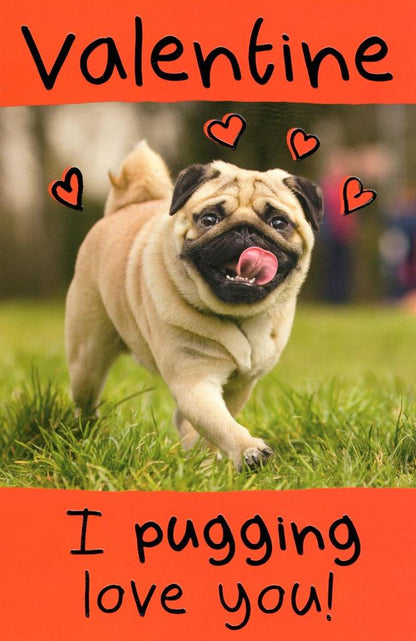 Pug Love You Funny Valentine's Day Card