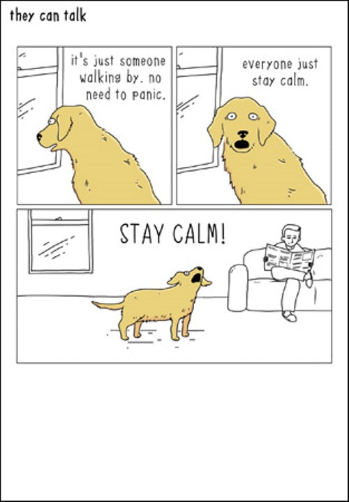 Everyone Just STAY CALM! Funny They Can Talk Greeting Card