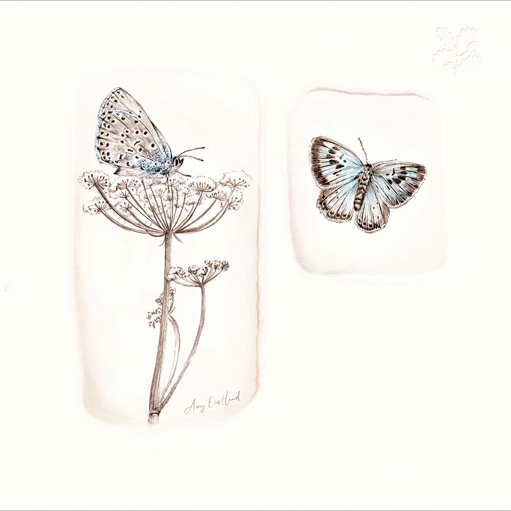 National Trust Butterfly Embossed Artistic Greeting Card