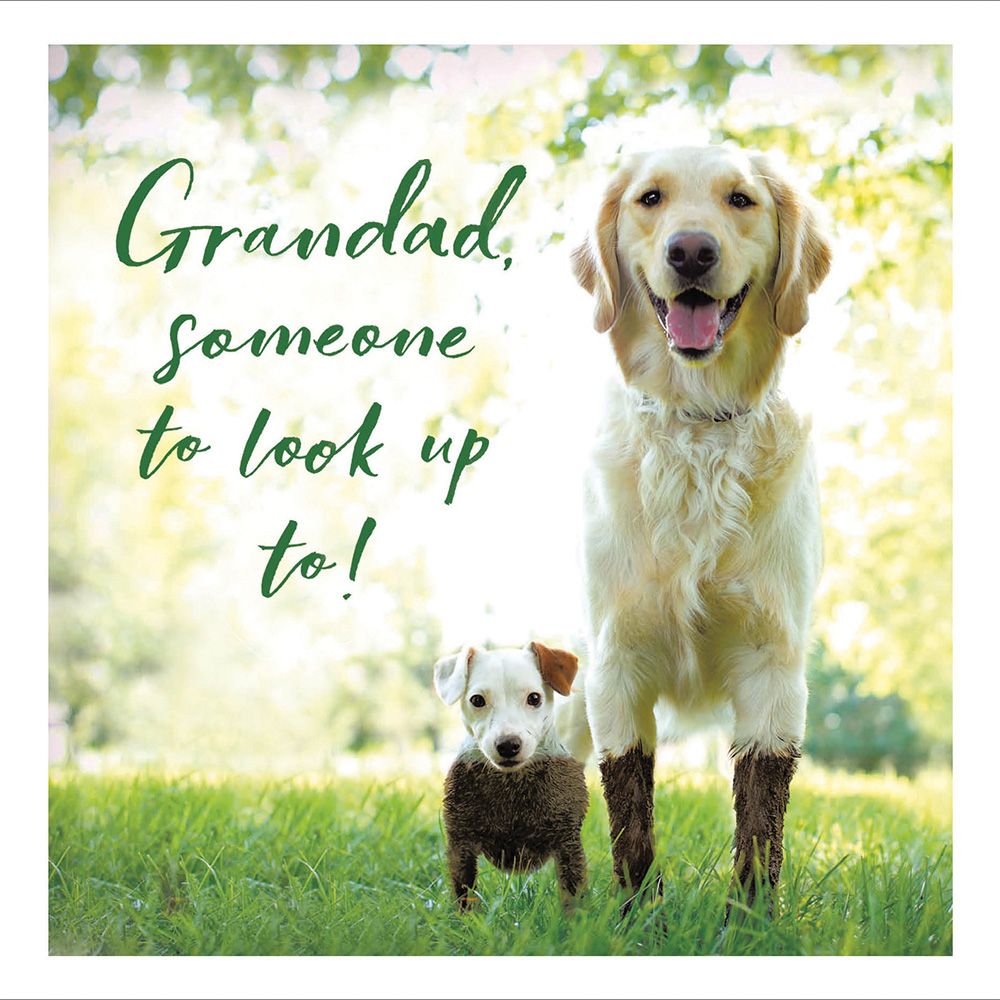 Grandad Loose Leashes Happy Father's Day Greeting Card