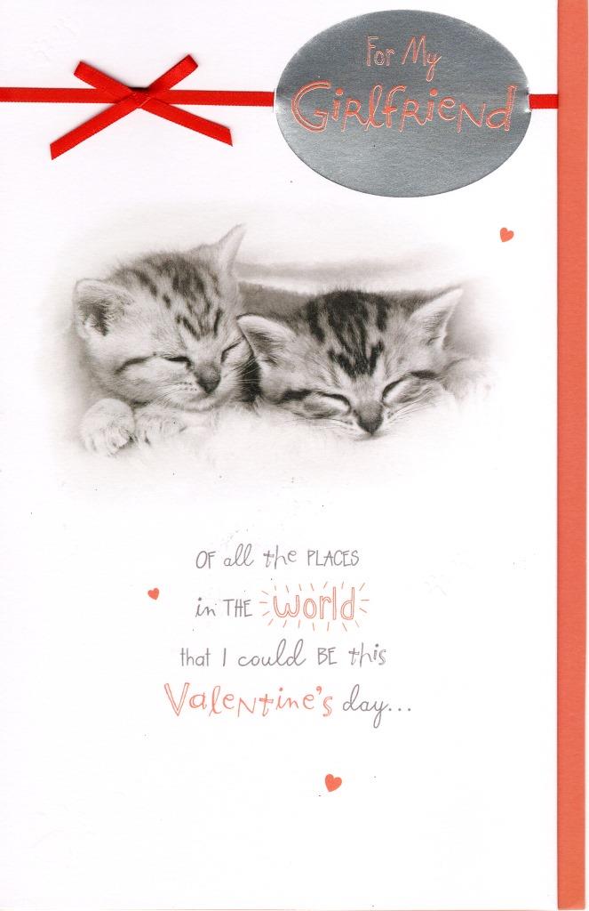 Cuddling Kittens Cute Girlfriend Valentine's Day Card