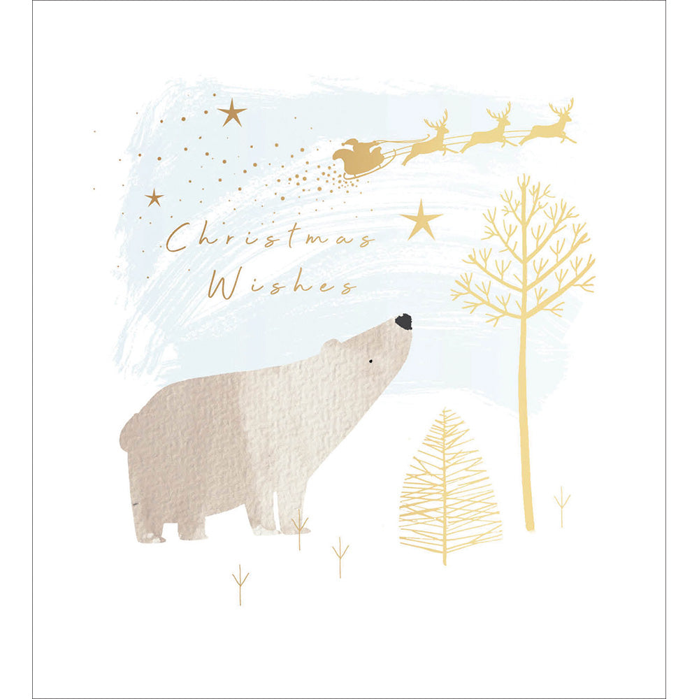 Pack of 5 Xmas Polar Bear Charity Christmas Cards