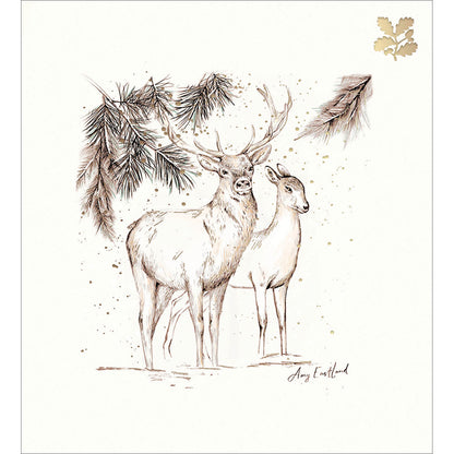 Pack of 5 National Trust Stag & Doe Charity Christmas Cards