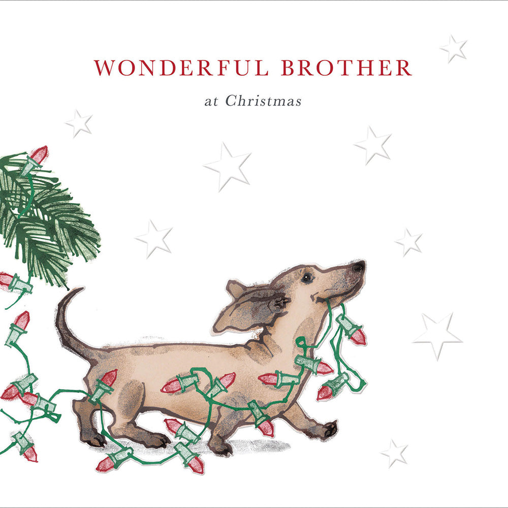 Wonderful Brother At Christmas Dachshund Christmas Card