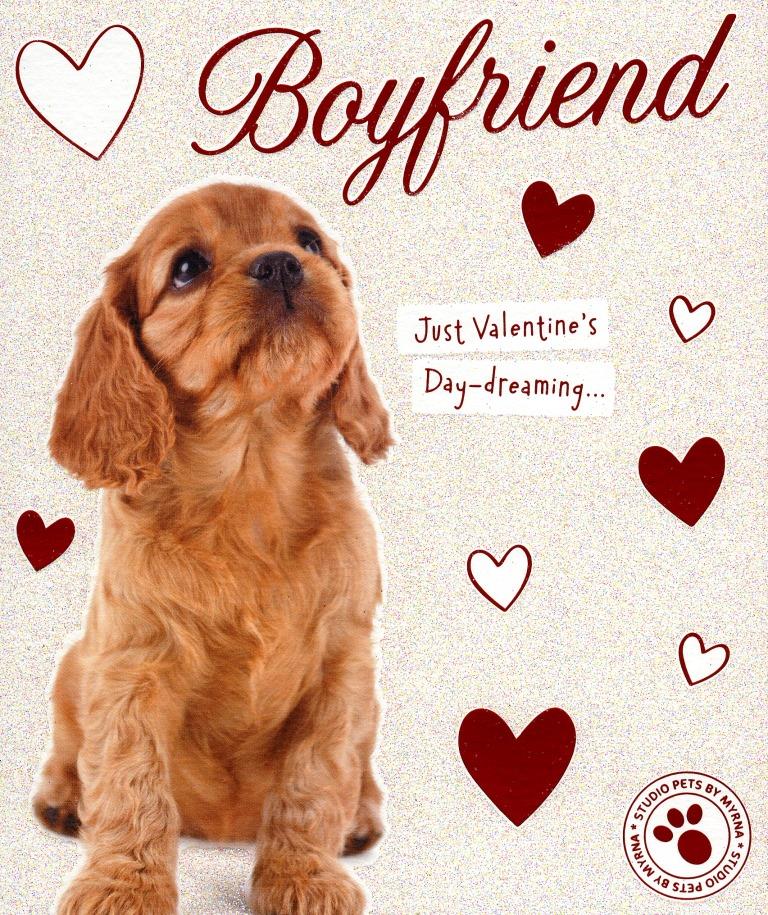 Boyfriend Cute Puppy Dog Valentine's Day Card