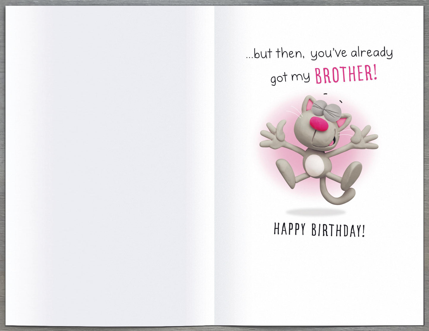 Sister-In-Law You've Got My Brother Funny Greeting Card