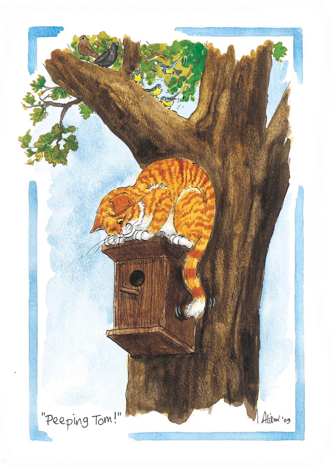 Peeping Tom! Ginger Cat Alison's Animals Cartoon Greeting Card