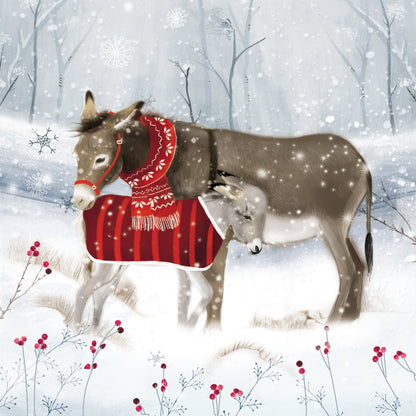 Pack of 8 Donkeys In The Snow Charity Christmas Cards