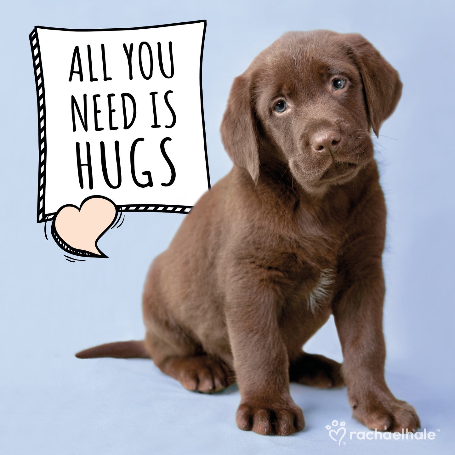 All You Need Is Hugs Choc Lab Birthday Greeting Card