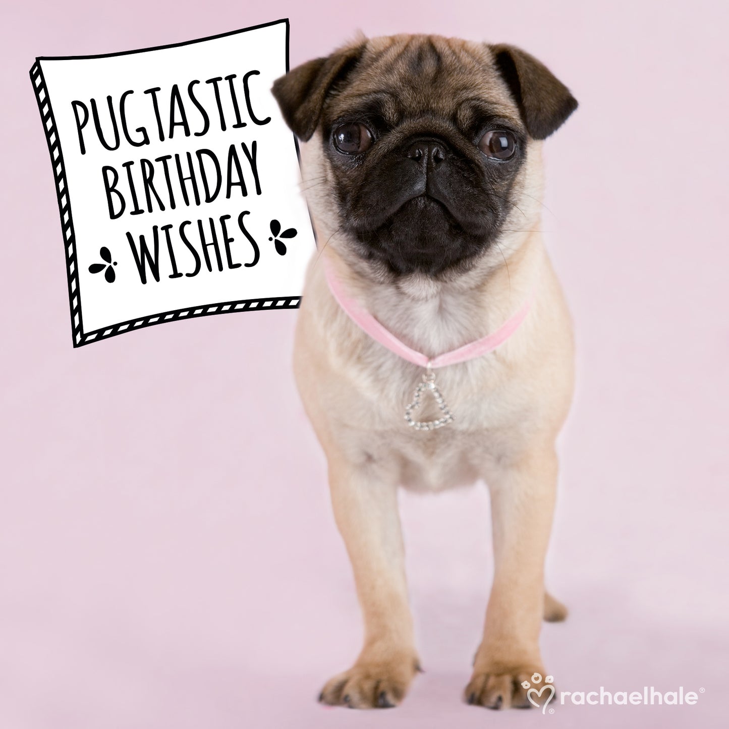Pugtastic Birthday Wishes Pug Birthday Greeting Card