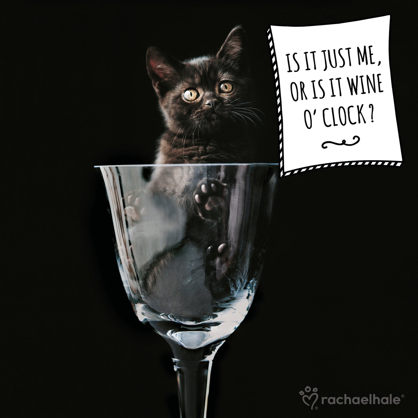 Wine O'Clock Black Kitten Birthday Greeting Card