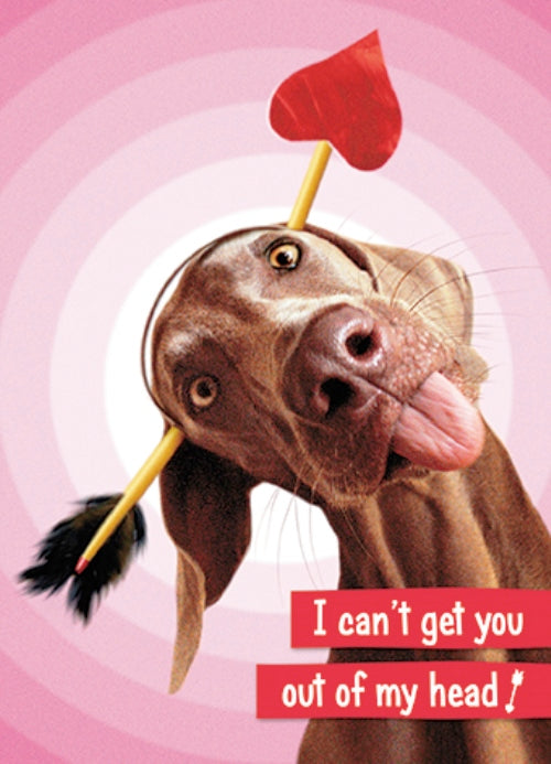 Avanti Valentine's Day Humour Greeting Card