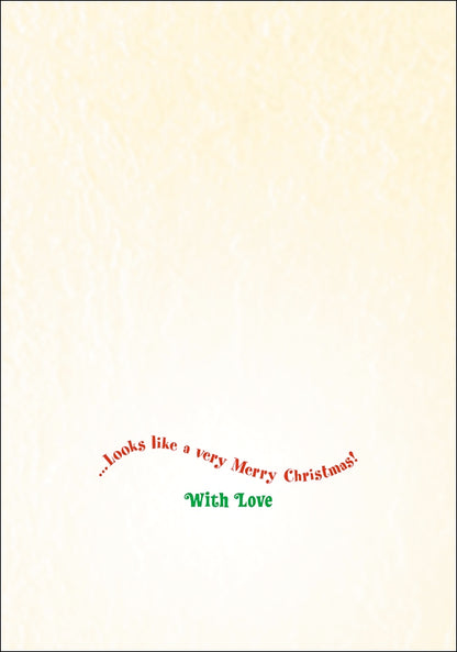 Avanti Grandparents Funny Christmas Greeting Card