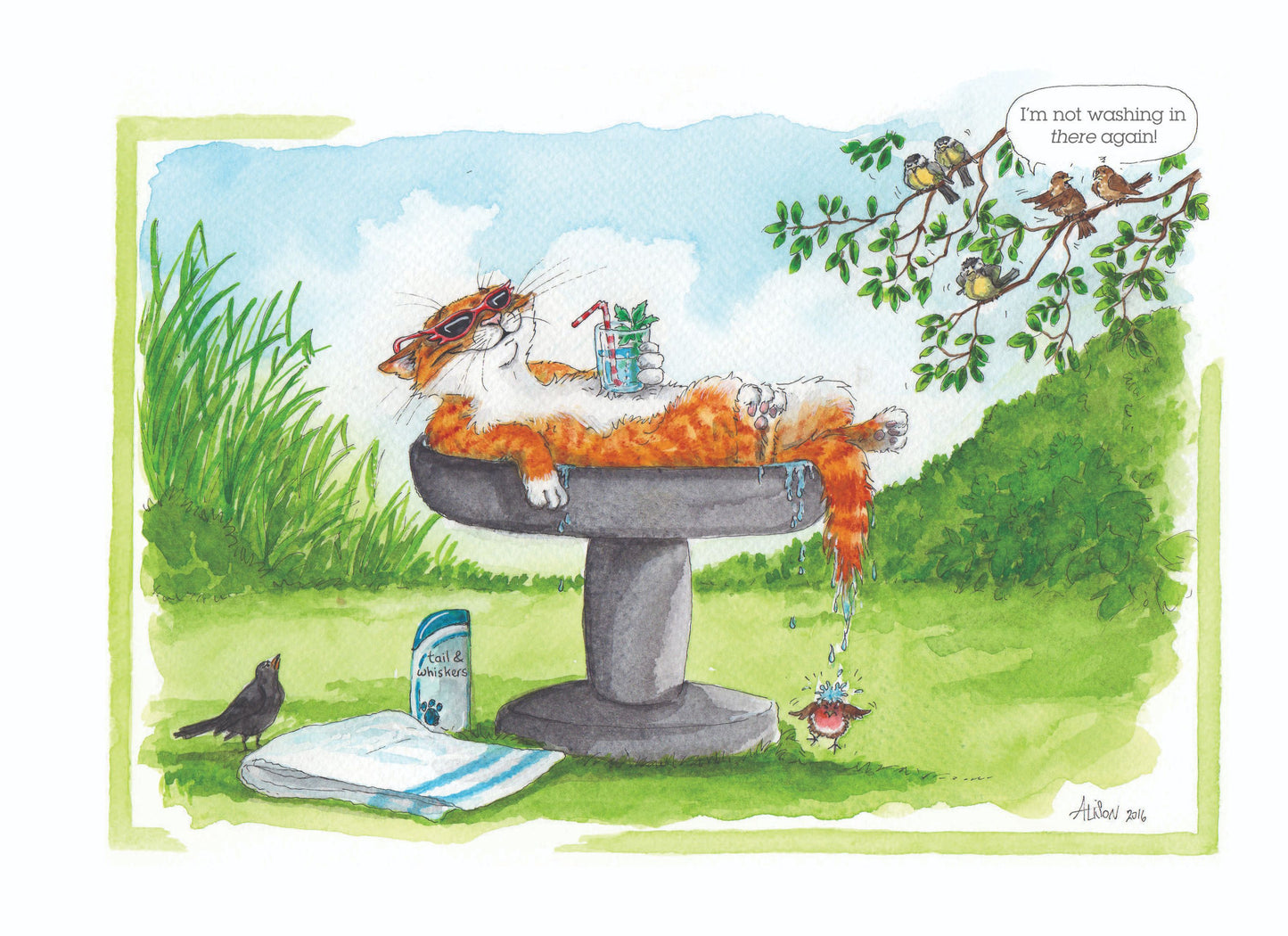 Cat In The Bird Bath Poor Birds Alison's Animals Cartoon Greeting Card