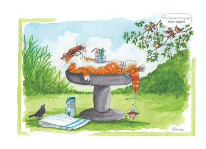 Cat In The Bird Bath Poor Birds Alison's Animals Cartoon Greeting Card