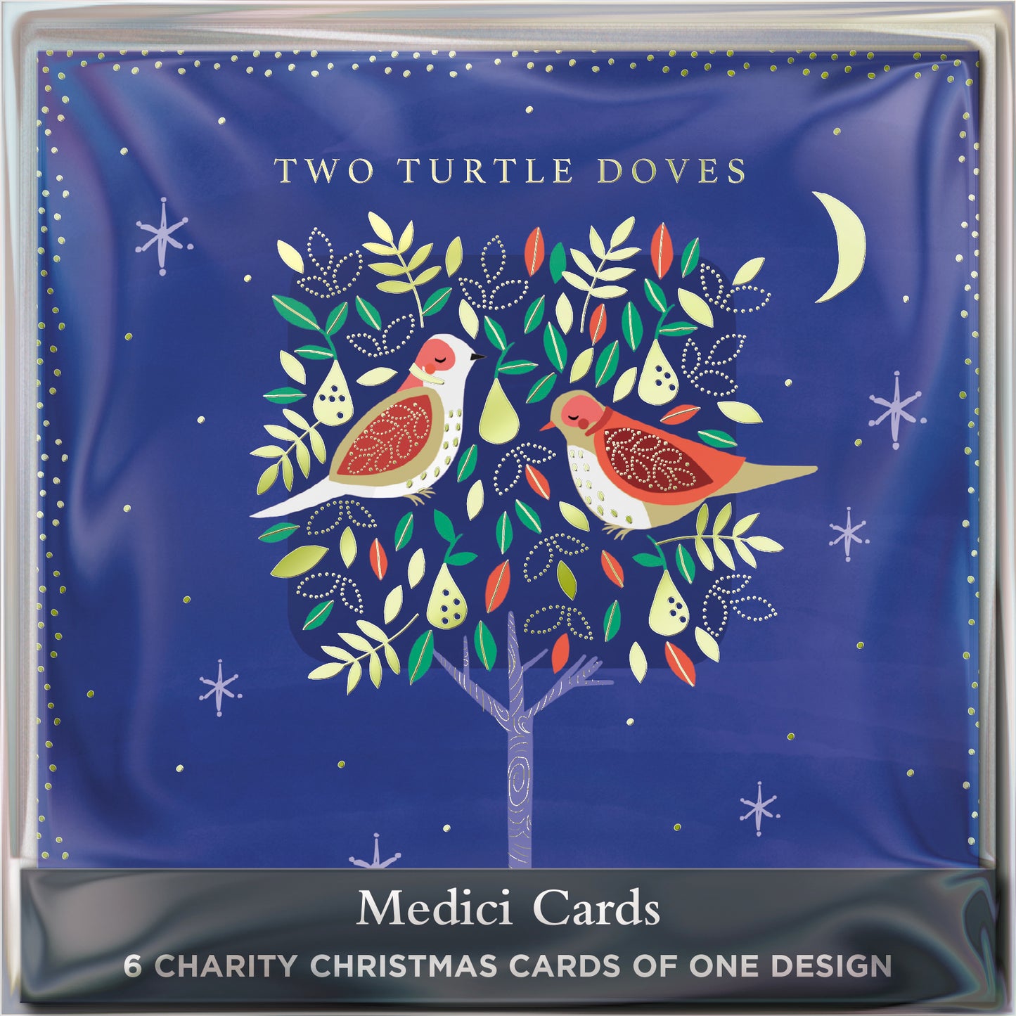 Pack of 6 Two Turtle Doves Charity Christmas Cards