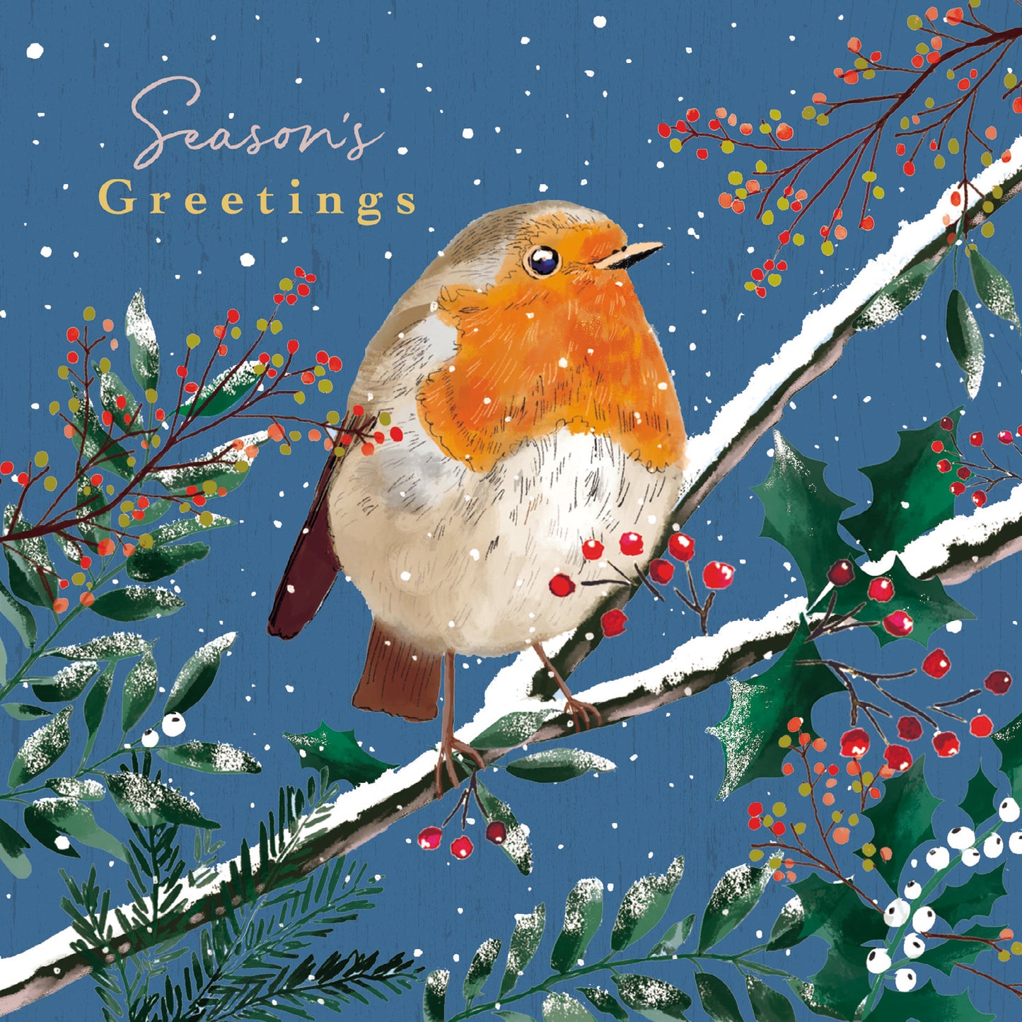 Pack of 6 Seasons Greetings Robin Charity Christmas Cards