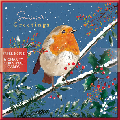 Pack of 6 Seasons Greetings Robin Charity Christmas Cards