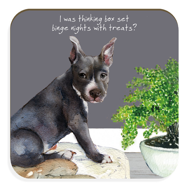 I Was Thinking Box Set With Treats Blue Staffy Little Dog Laughed Coas ...