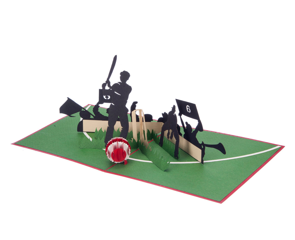 Slightly Stumped Cricket Pop Up Greeting Card