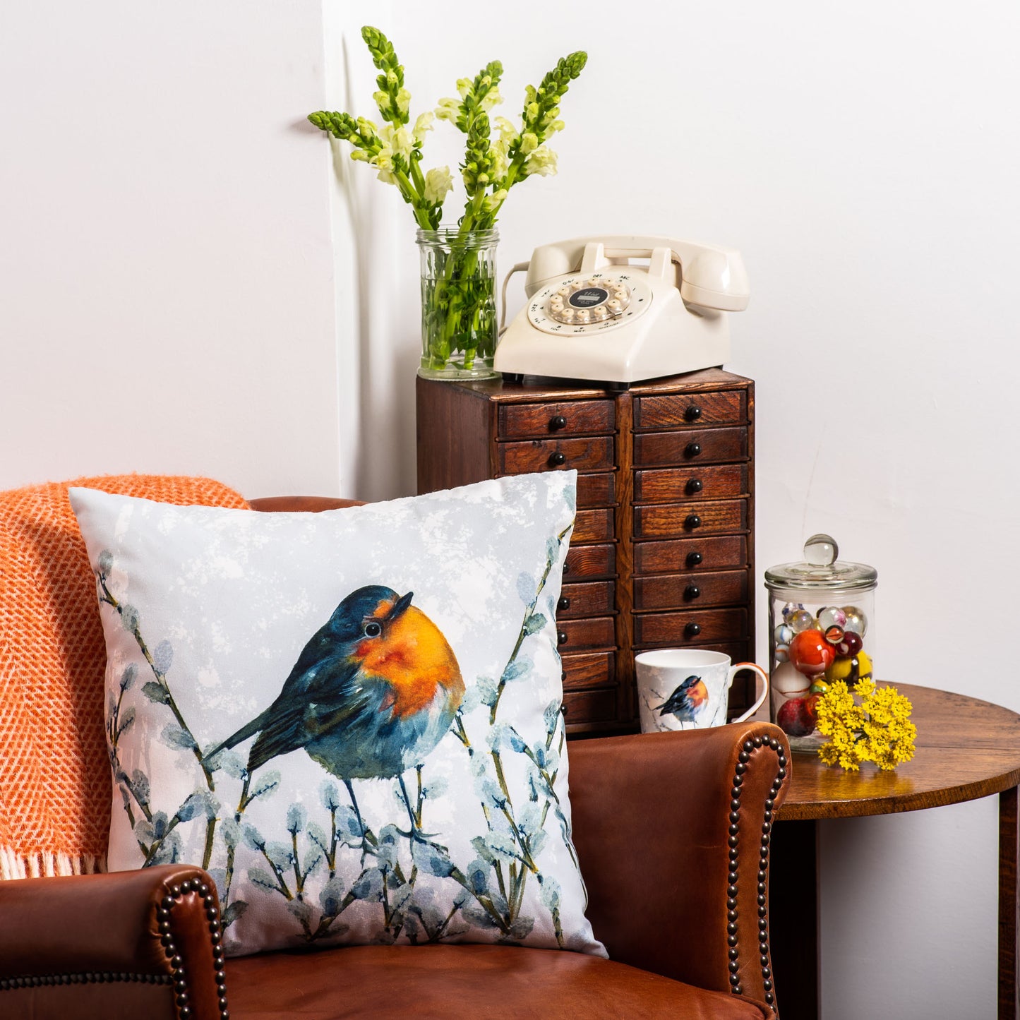 Tuppence A Bag Robin Redbreast Bird Cushion Gift