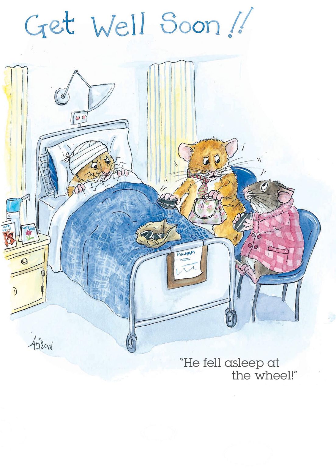Get Well Soon Asleep At The Wheel Alison's Animals Cartoon Greeting Card
