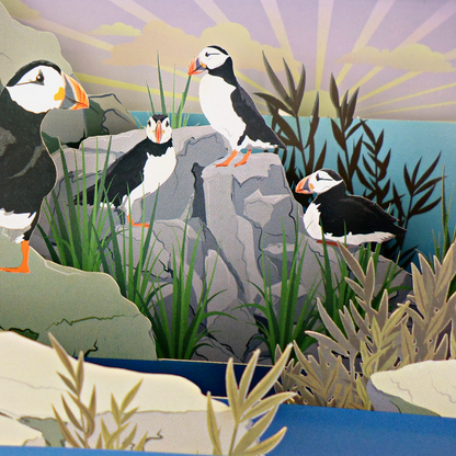 Message In A Bottle Puffins Pop Up Any Occasion Greeting Card