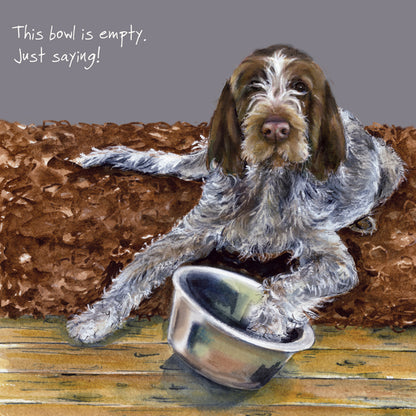 Italian Spinone Bowl Little Dog Laughed Greeting Card