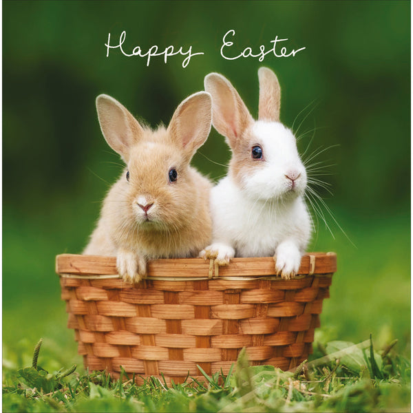 Happy Easter Double The Hoppiness Artistic Easter Greeting Card – Love  Kate's
