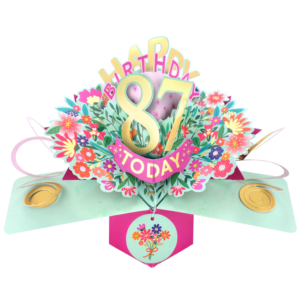 Happy 87th Birthday 87 Today Pop-Up Greeting Card
