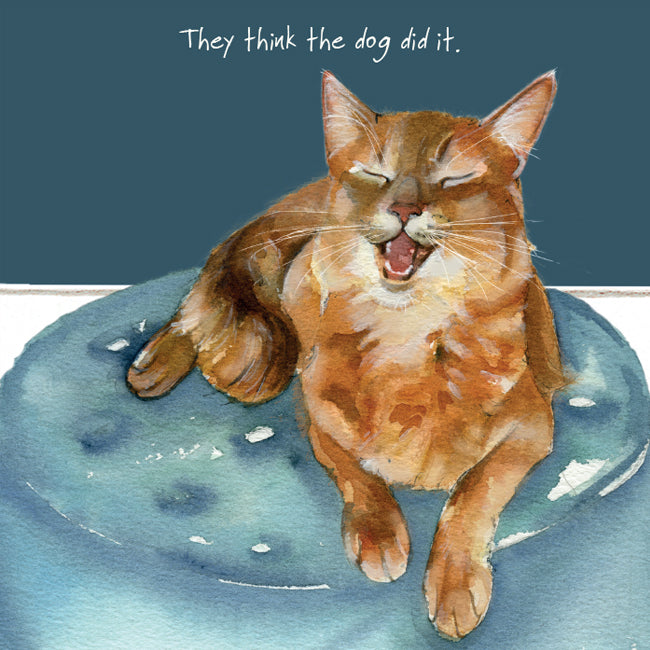 Laughing Cat Dog Did It Little Dog Laughed Greeting Card