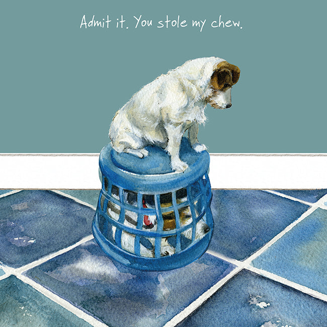 You Stole My Chew Little Dog Laughed Greeting Card