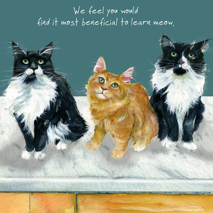 The Maine Coon Cats Little Dog Laughed Greeting Card