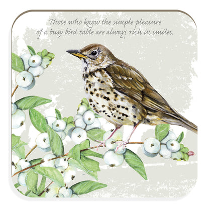 Song Thrush A Busy Bird Bath Tuppence A Bag Coaster