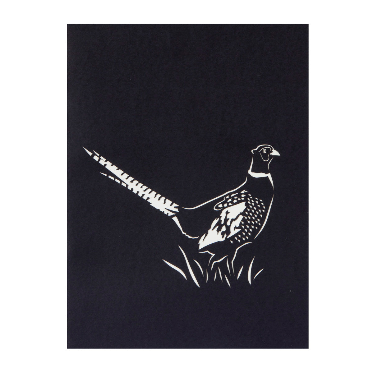 Wild Pheasant Pop Up Greeting Card