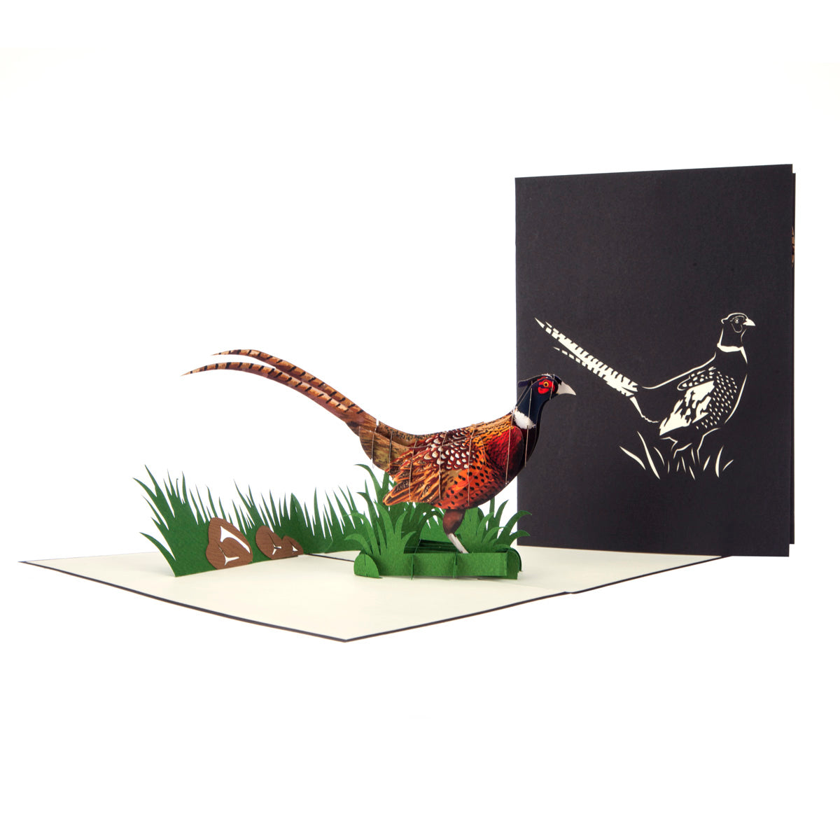 Wild Pheasant Pop Up Greeting Card