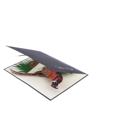 Wild Pheasant Pop Up Greeting Card