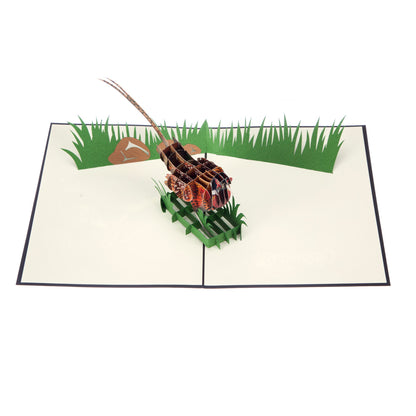 Wild Pheasant Pop Up Greeting Card